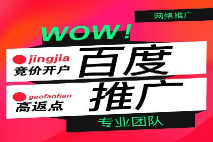 百度推广在旅游行业的应用案例