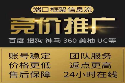 网络推广竞价策略案例分析